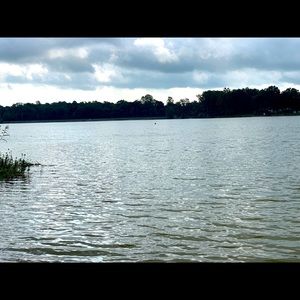 Meet your Posher, Da'lysha